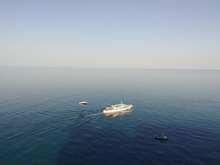 Белгородская студентка победила во всероссийском конкурсе среди вожатых