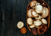 Обильные осадки, выпавшие в октябре на территории Донецкой Народной Республики, спровоцировали необычный для поздней осени рост грибов