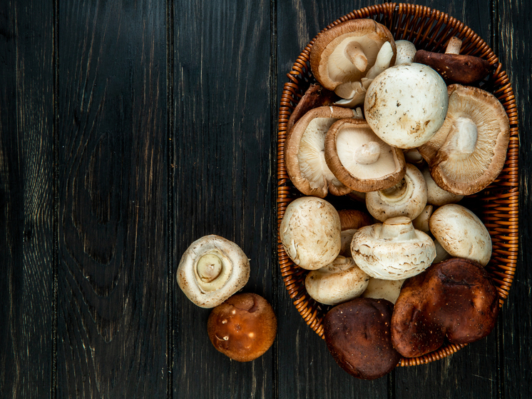 В ДНР после засухи начался неожиданный грибной сезон