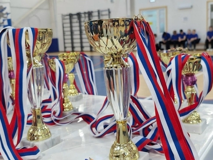 Турниром по бочча в Подпорожском районе почтили память героя