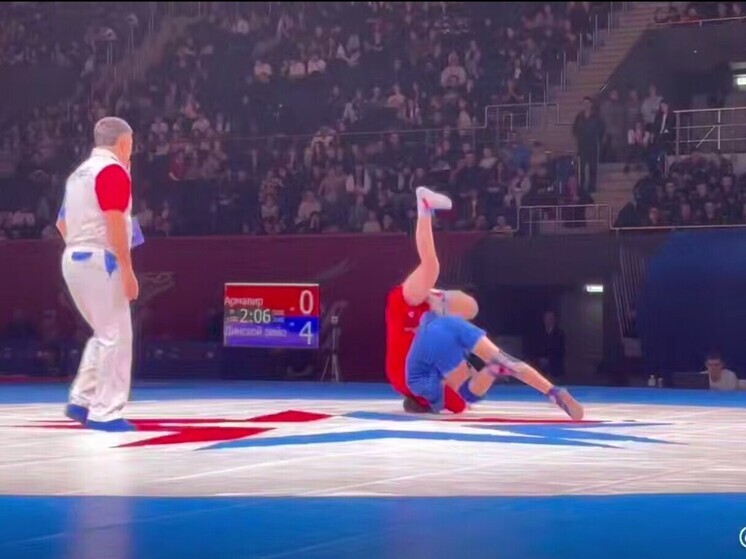 Более 300 кубанцев поучаствовали в краевом фестивале единоборств