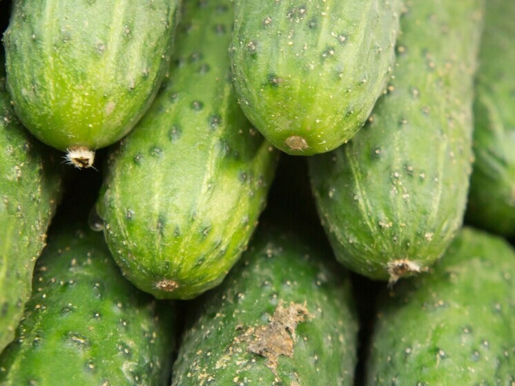 В Липецкой области огурцы подорожали на 7,7% за неделю