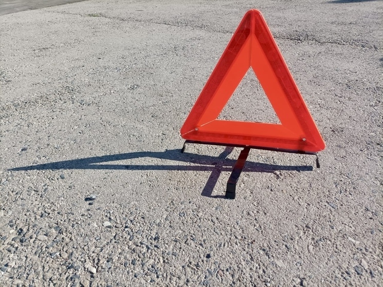 На трассе М-5 под Рязанью произошло ДТП с патрульным автомобилем ДПС