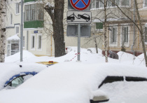 Последний день осени, 30 ноября, в народном календаре носит звучное имя — Григорий Зимоуказатель. В православии в этот день чтят память святителя Григория Чудотворца, епископа Неокесарийского, жившего в III веке. Но в народной традиции этот день был важной вехой, когда всерьёз «закатывали» осень и встречали зиму, внимательно следя за приметами.