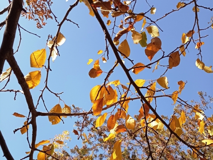 Сила магнитной бури 30 ноября составит 3 балла: период положительной энергии