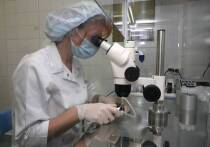 О том, что рак молодеет, и количество выявленных случаев у молодых людей резко растет, в последние годы говорят постоянно