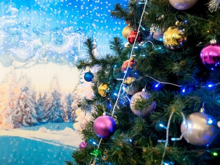 Челябинская область возглавила рейтинг новогодних загородных бронирований в УрФО