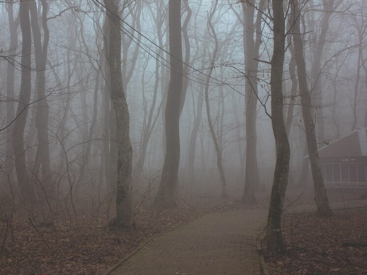 В ближайшие 3 часа Калининград накроет туман