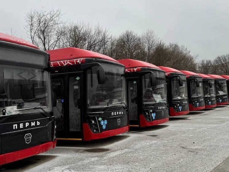 С 1 декабря в Перми выйдут на маршруты новые автобусы