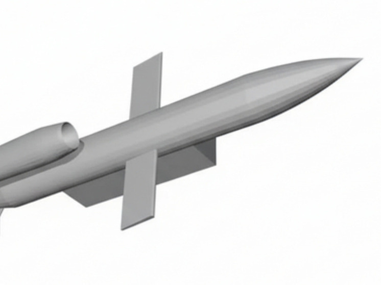 Чешские активисты приостановили финансирование производителя ракет «Фламинго»