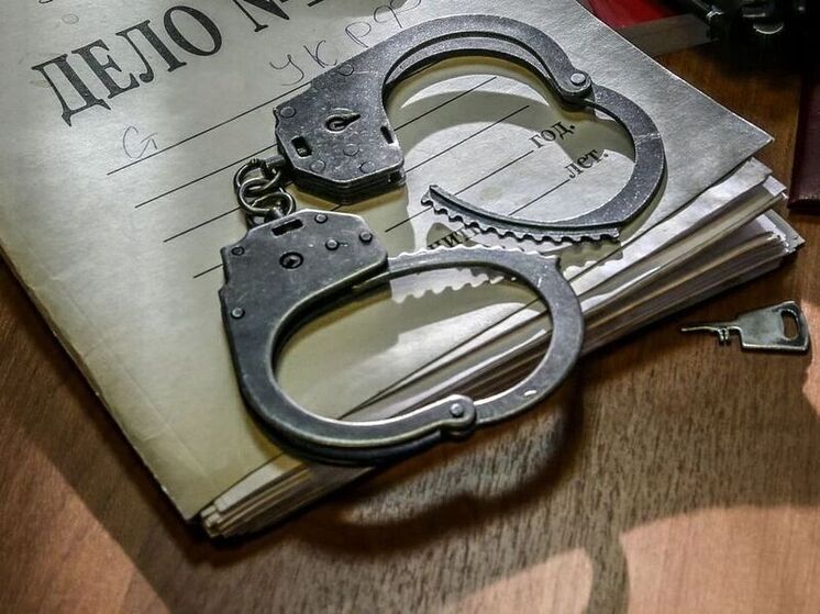 Задержанному за подготовку теракта в Серпухове грозит до 30 лет лишения свободы