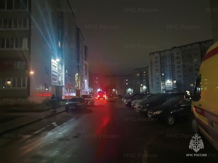 С пожара в Коврове экстренно госпитализировали семью с двумя детьми