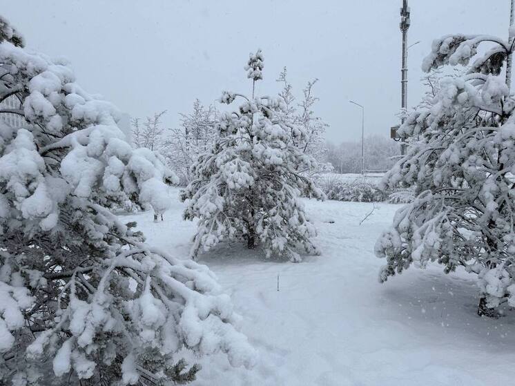 Первый зимний месяц начинается во Владимирской области с экстренного предупреждения