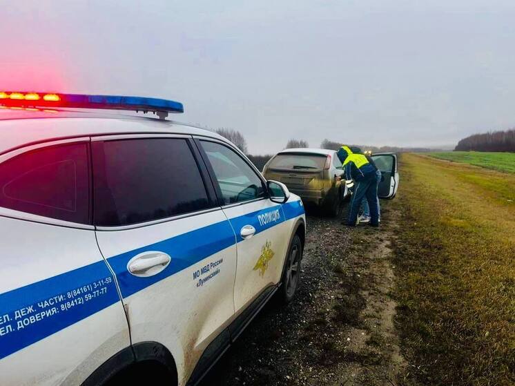 Автоинспекторы Пензенской области помогли водителю на загородной трассе