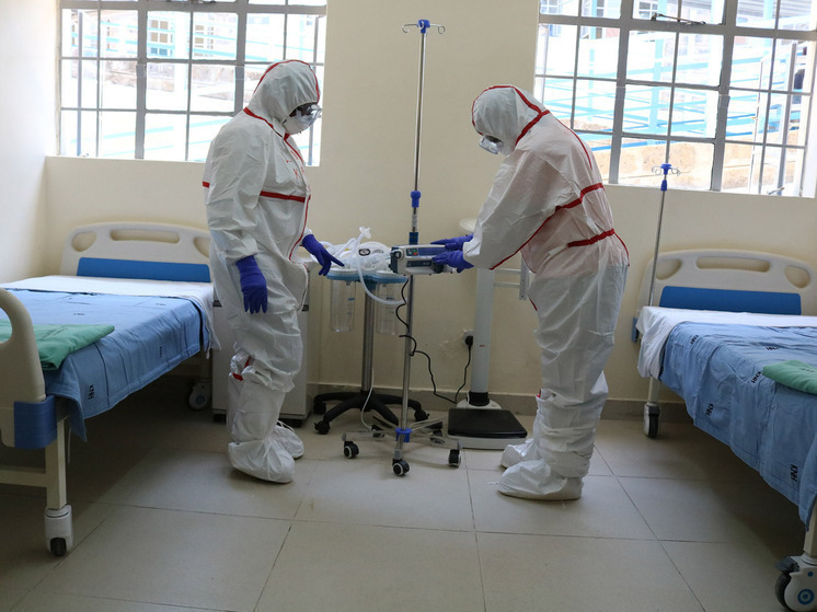 Подземные микробы активизировались после землетрясения в Йеллоустоне