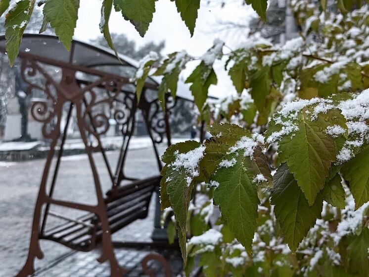 В Хабаровске 30 ноября небольшой снег, до -10 градусов