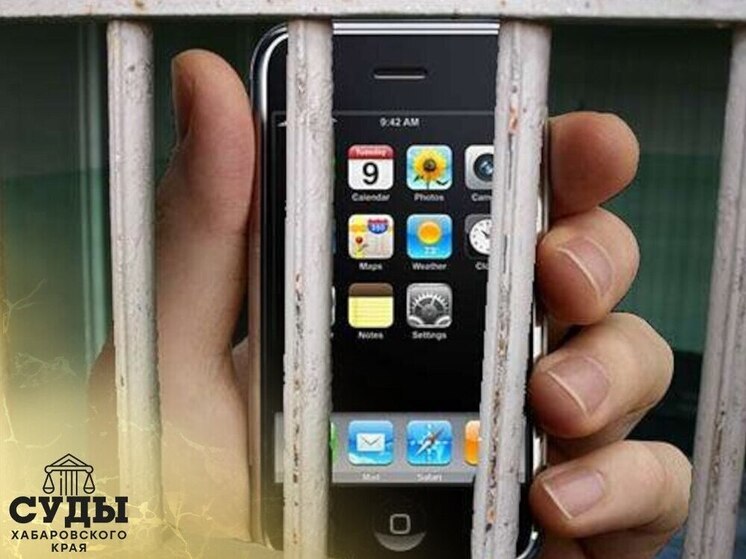 Осужденному из Хабаровска дали 16 лет тюрьмы за аферы на сайтах знакомств