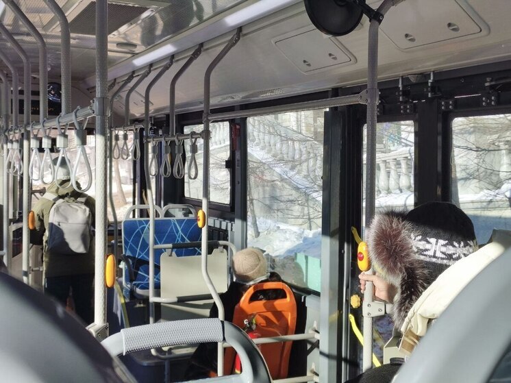 Движение для маршрутных автобусов Биробиджана закрыли из-за непогоды