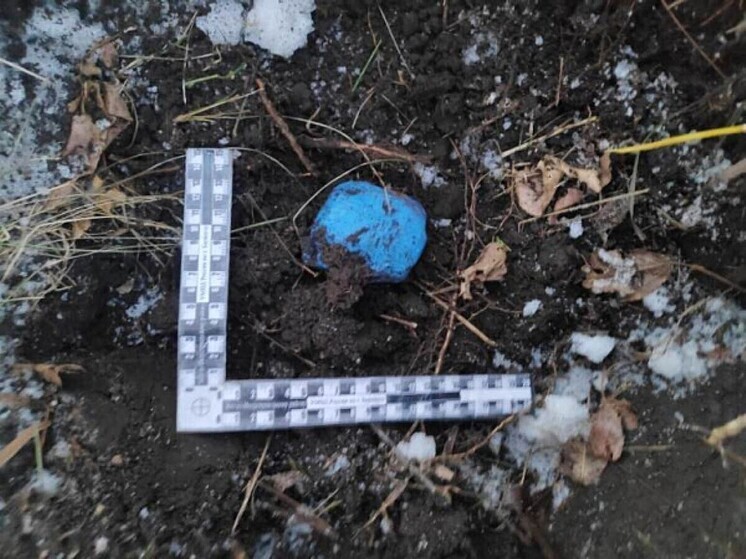 Барнаульская полиция задержала молодую пару наркосбытчиков