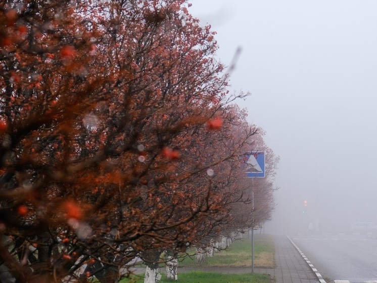 Гололедица и сильный ветер ожидаются в Волгоградской области 30 ноября
