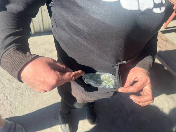 В Шахтёрске выявили факт незаконного хранения наркотиков