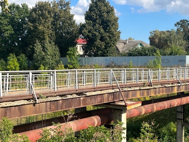 Проект моста через реку Ливенку будет готов в конце 2026 года
