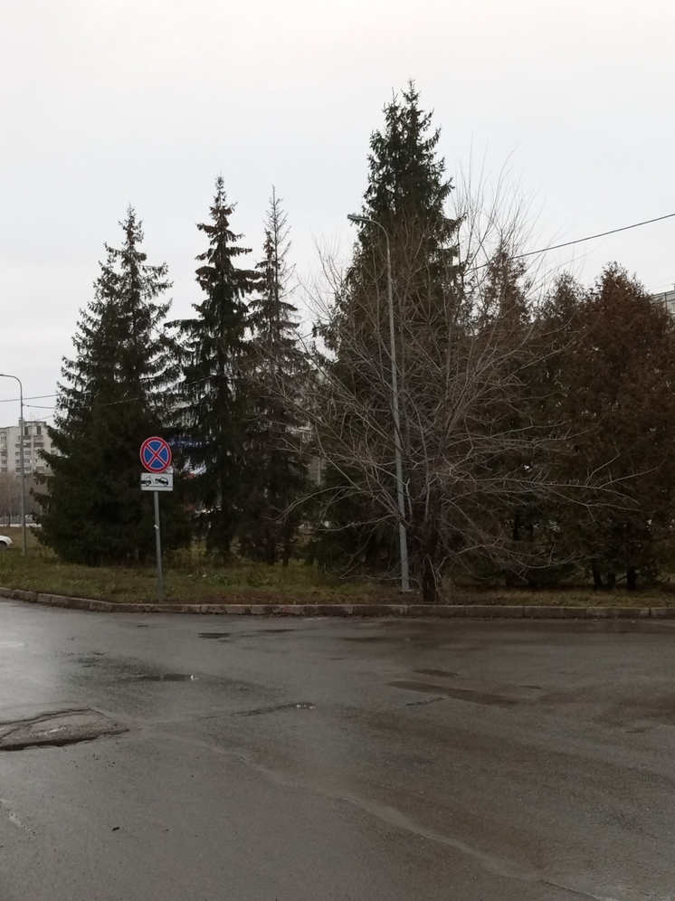 Сегодня в Татарстане осадков не ожидается