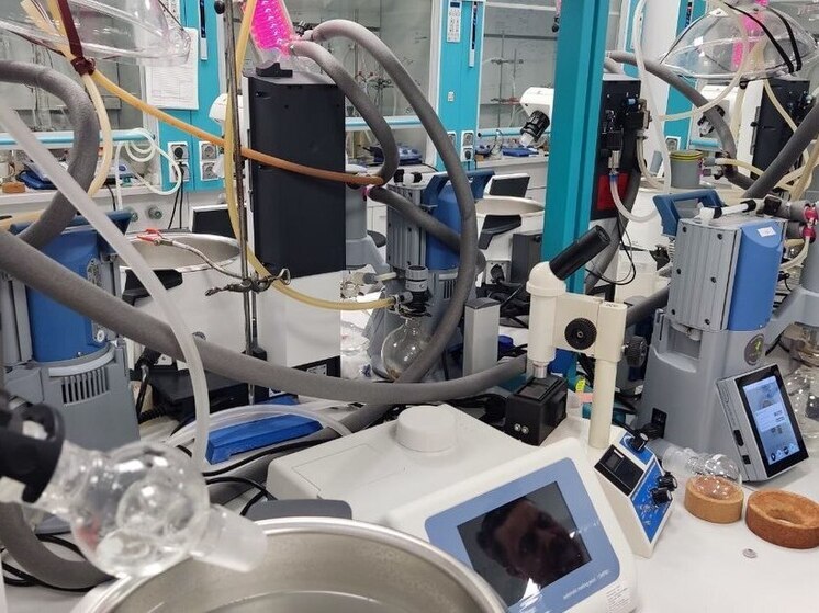 В Петербурге создали два новых сорта арахиса