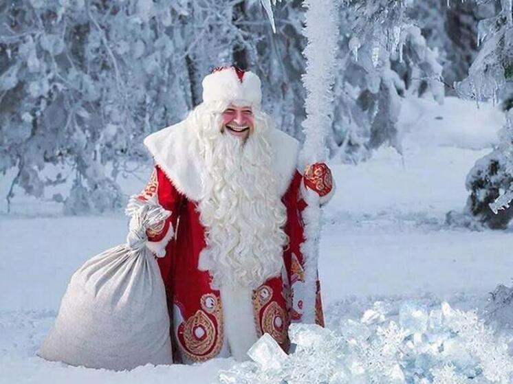 Заказали Дедушку Мороза на дом и остались без денег