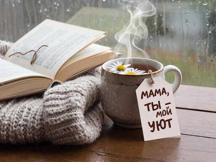 Мэр Томска Дмитрий Махиня поздравил горожанок с Днём матери