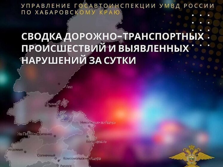 В Хабаровском крае 367 нарушений ПДД выявили за сутки