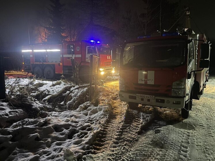 Ленинградские спасатели 12 раз выезжали на вызовы за дежурные сутки