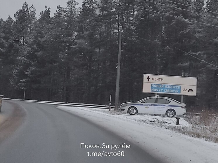 Водителям на заметку: картонный постовой  - повод снизить скорость