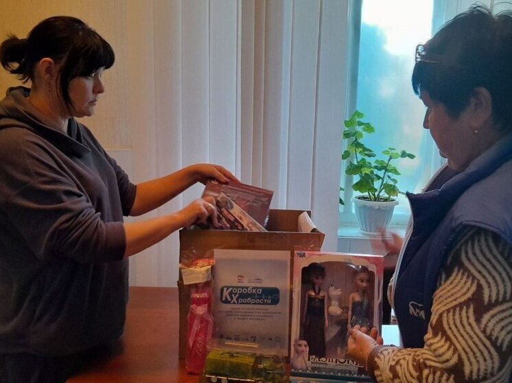 Верхнерогачикские единороссы поддержали акцию «Коробка храбрости»