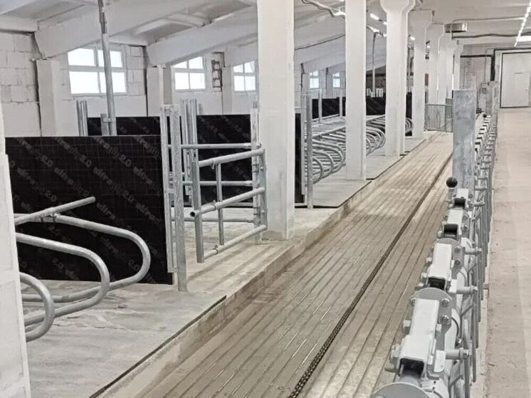 В Дзержинском округе готовятся к приезду молодняка