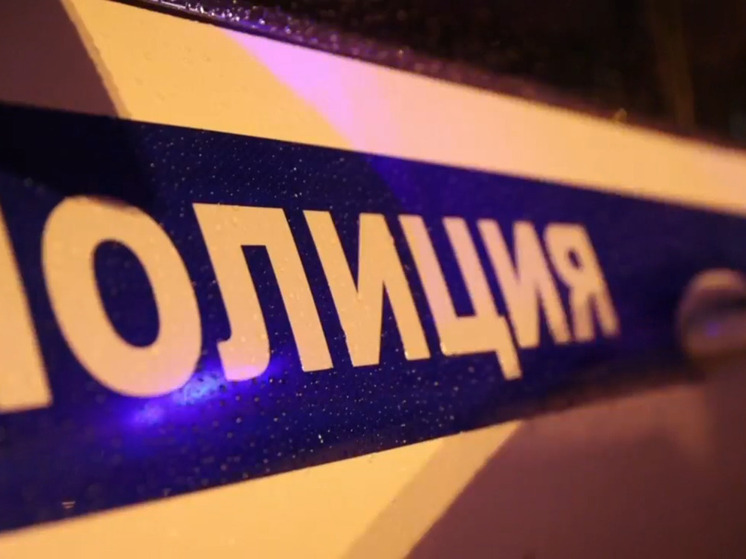 В Рощино в ночном ДТП иномарка врезалась в дерево