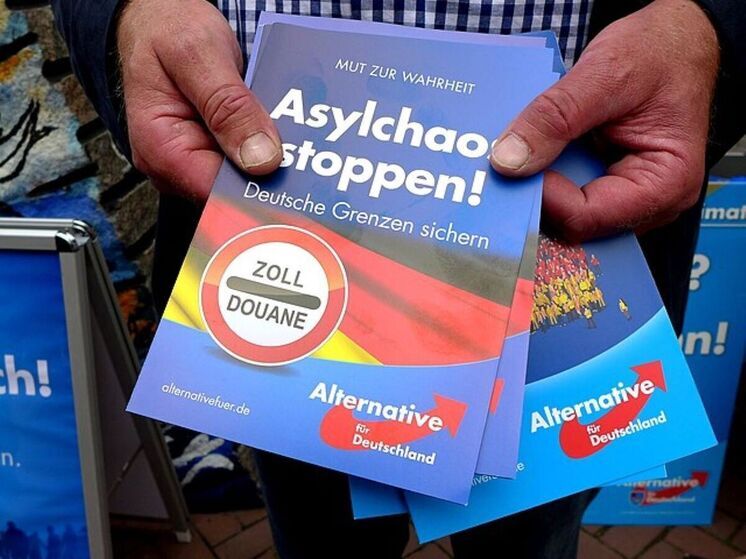 В Германии вспыхнули протесты на фоне создания молодежной структуры AfD