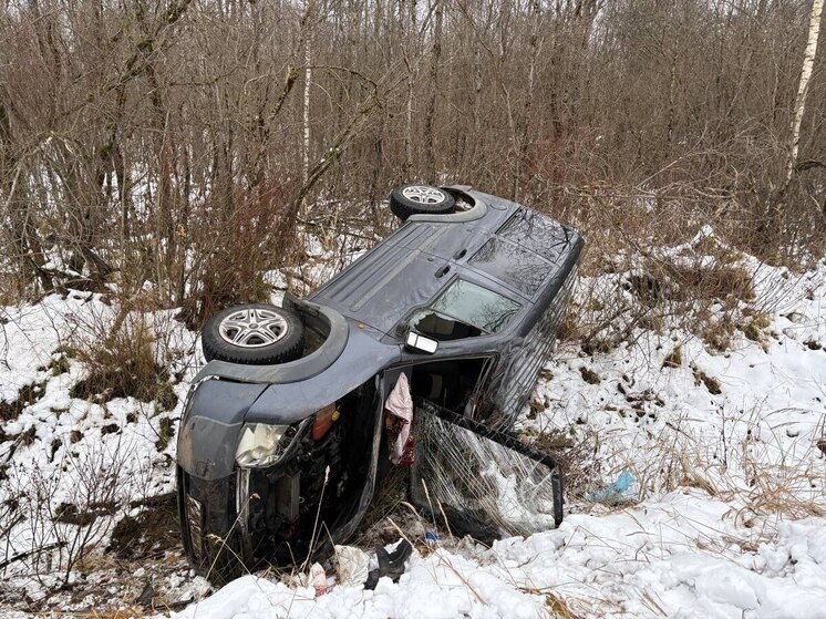 Водитель погиб после съезда иномарки в кювет в Батецком округе