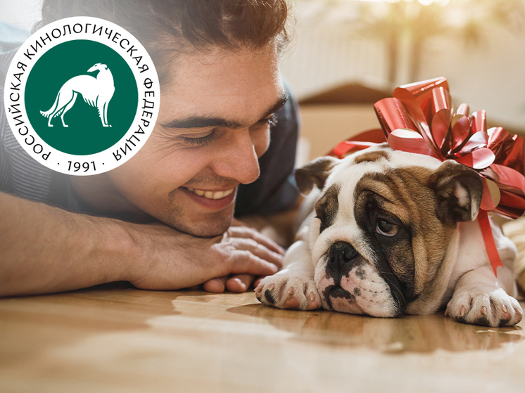 Международный день домашних животных. 5 научных причин завести собаку