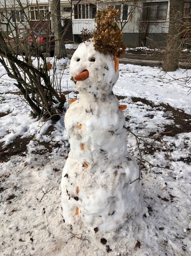 Пскович призвал лепить снеговиков