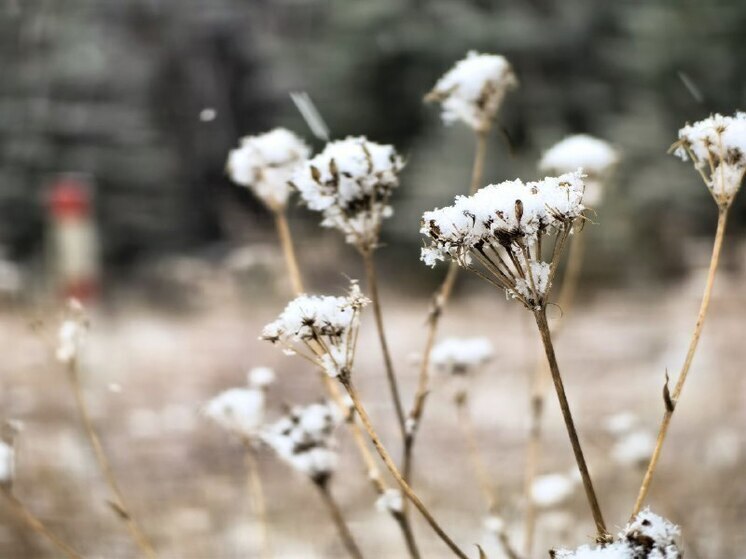 Синоптики Хакасии предупредили о морозах и снегопадах в первый день зимы