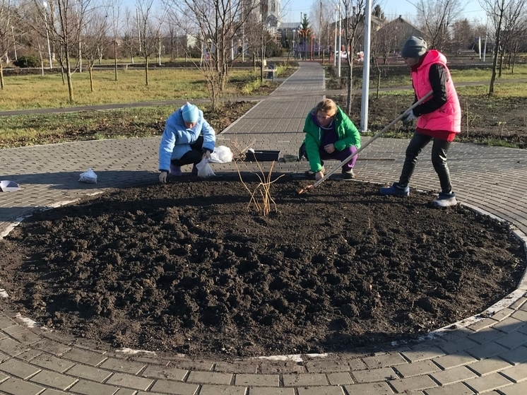 Красненский округ подвел итоги акции «Сохраним лес»