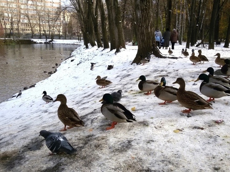 На Свердловскую область надвигается волна холода