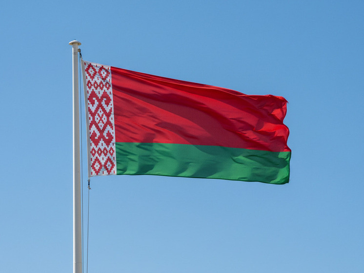 МЧС Белоруссии получило ответ о возгорании на Игналинской станции