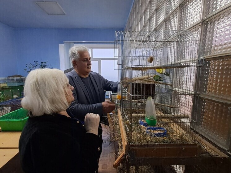 В Бердянске прошел зоофестиваль «Мы в ответе за тех, кого приручили»