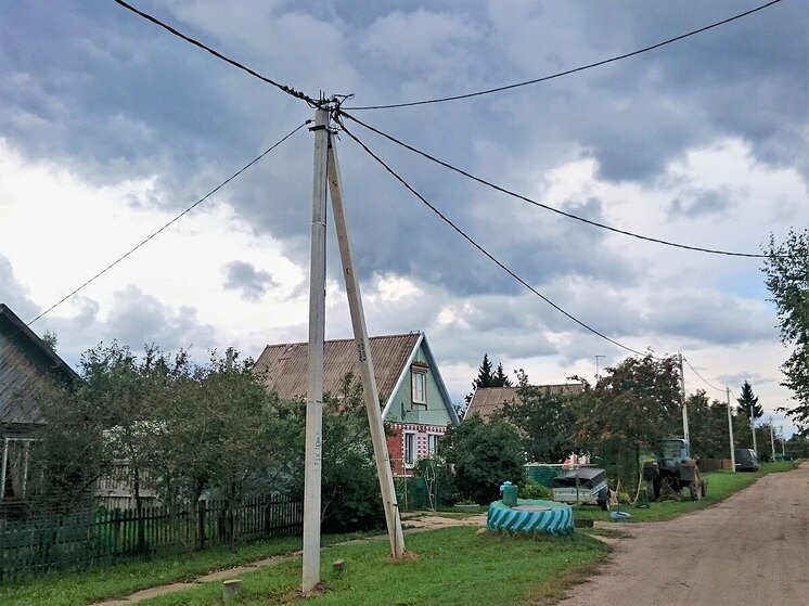 В Савинском районе привели в порядок линии электропередачи