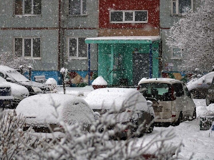 Снегопад в Омской области продержится несколько дней
