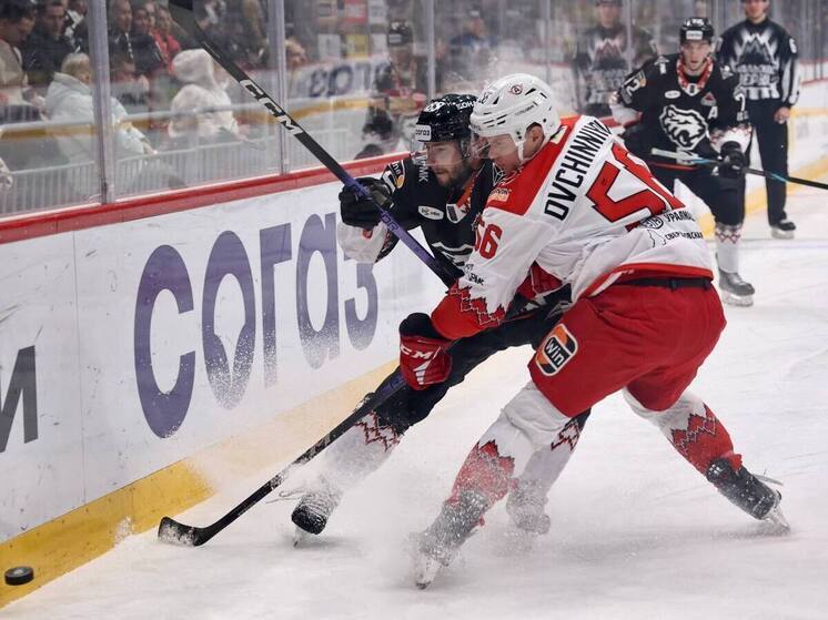 «Трактор» пригласил на просмотр вратаря Дмитрия Лозебникова