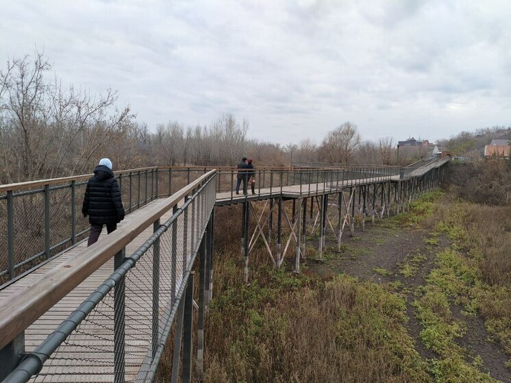 «Сделали тропинку в болоте»: Врио мэра Оренбурга признал провал благоустройства «Тропы здоровья»