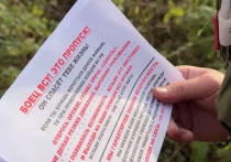 Политический кризис и коррупционные скандалы в Киеве все сильнее начинают влиять на положение дел ВСУ на фронте